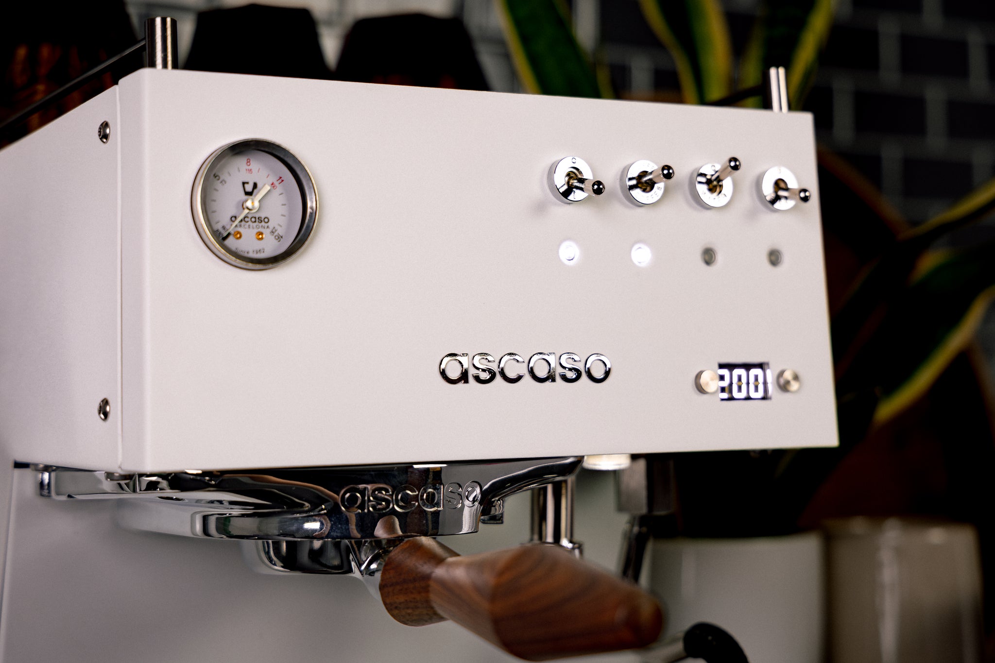 Ascaso Steel Duo espresso machine