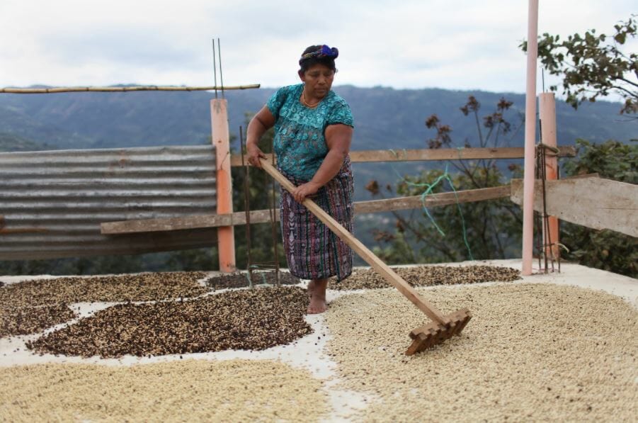 Fair Trade Coffee Month