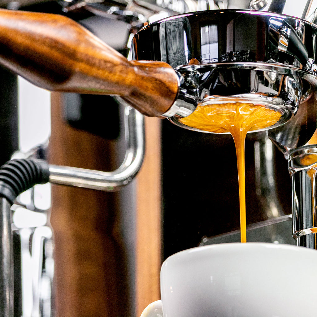 Barista Basics: How to Make an Espresso in 14 Steps - Perfect Daily Grind