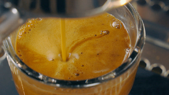 What is Espresso Crema?, blog from Clive Coffee, espresso, crema, coffee, pulling a shot