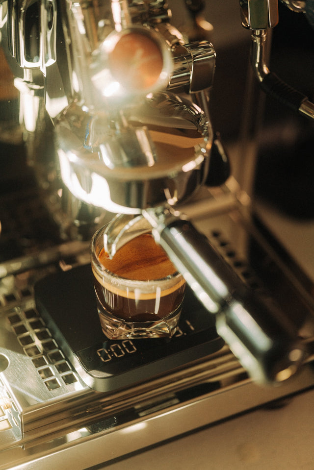 Profitec Drive Espresso Machine and Acaia Lunar Espresso Scale, from Clive Coffee, lifestyle