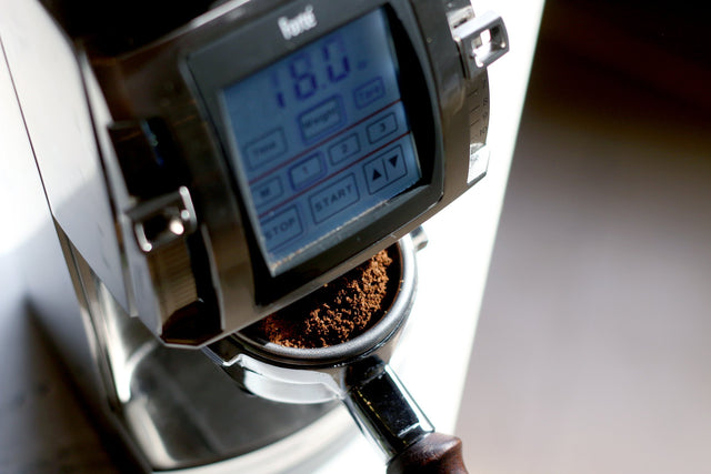 Baratza Forté-AP Coffee Grinder holding a portafilter filled with grinds, Clive Coffee - Knockout - Large