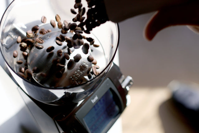 Baratza Forte BG Coffee Grinder being filled with coffee beans, Clive Coffee - lifestyle