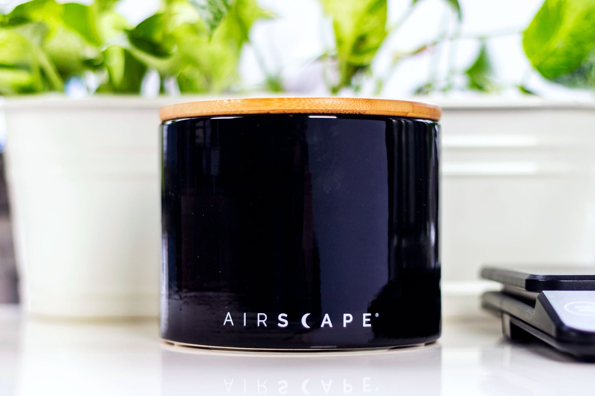 Close up of a dark glossy coffee canister with a wooden lid on a white kitchen counter and a leafy plant in the background.