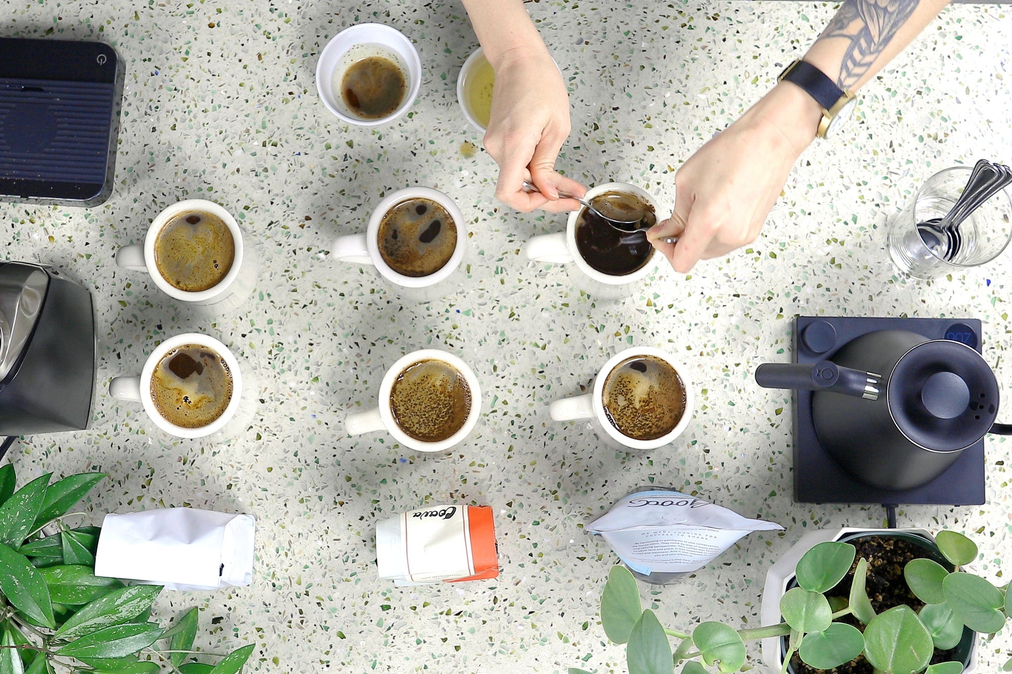 Top-down view of coffee cupping with several white cups arranged on a speckled countertop and a hand stirring a cup.