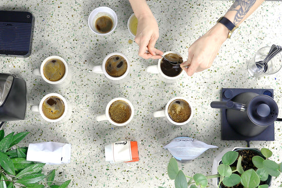 Top-down view of coffee cupping with several white cups arranged on a speckled countertop and a hand stirring a cup.