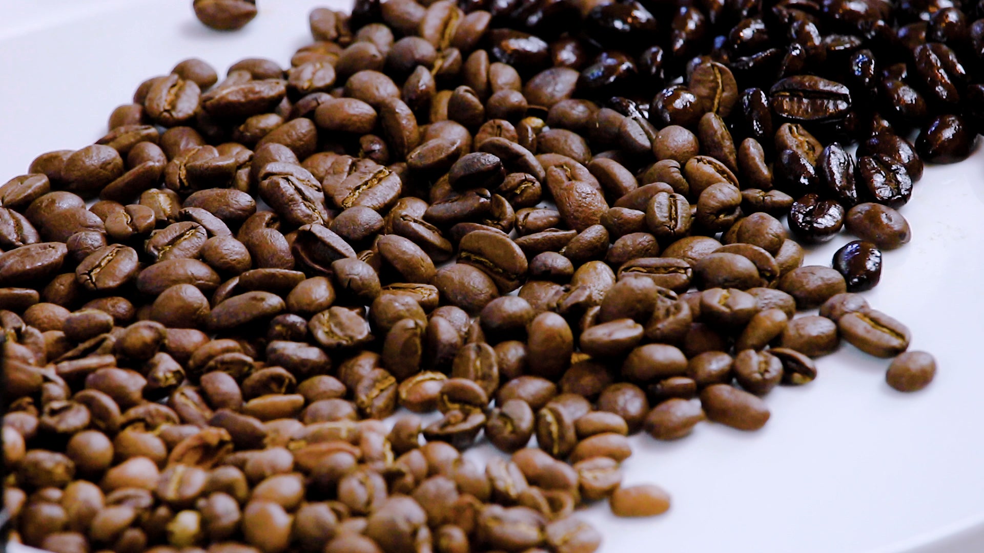 How to Brew Dark, Medium and Light Roast Coffees, blog from Clive Coffee, coffee bean gradient