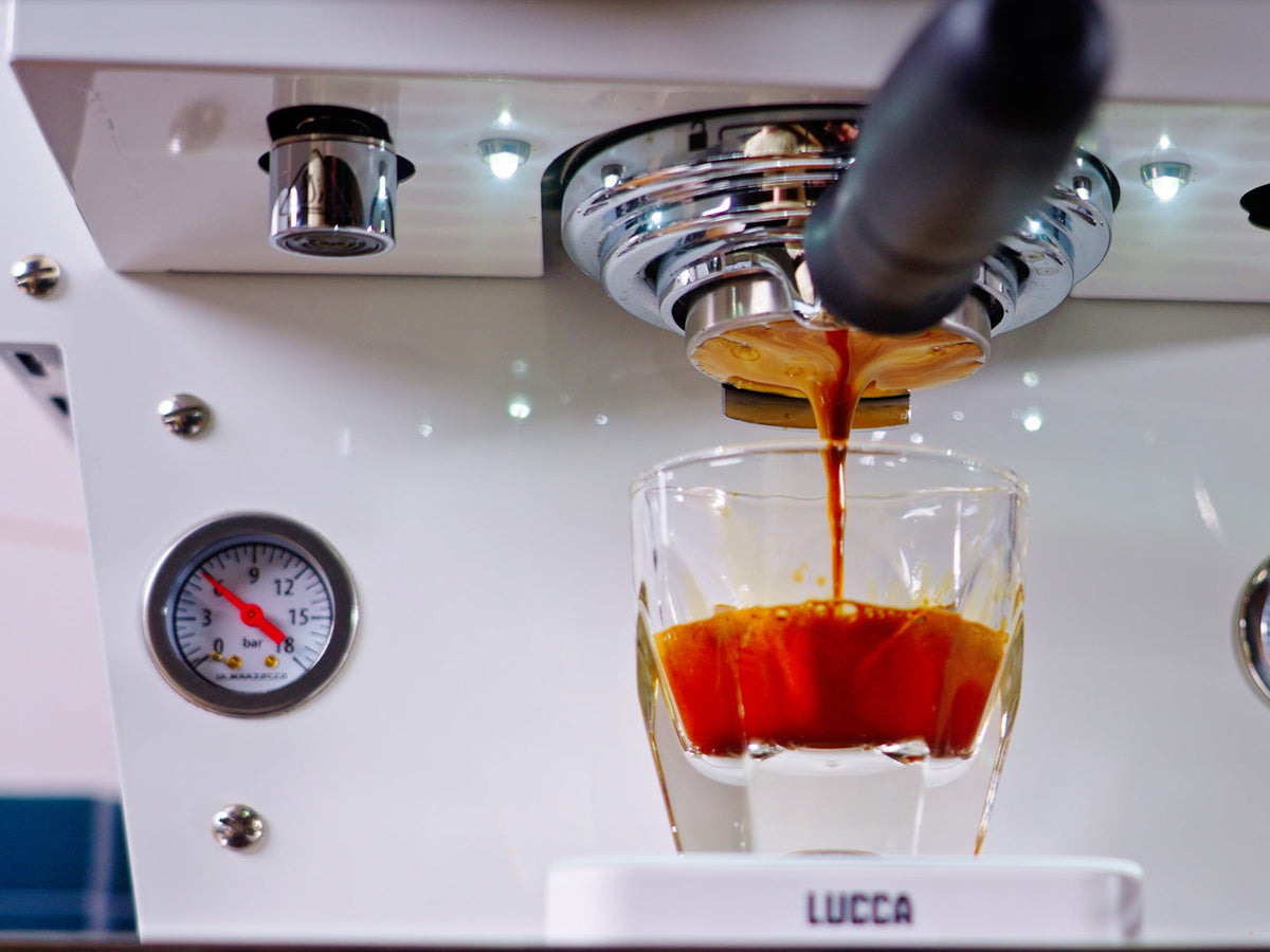 Close up of espresso pouring from a portafilter into a glass cup on a LUCCA espresso machine.