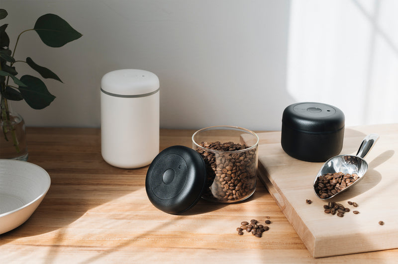 How to Store Coffee Correctly