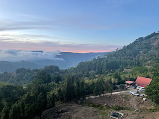 Dawn over a misty coffee region hillside with forested slopes and a red-roofed building near parked cars.