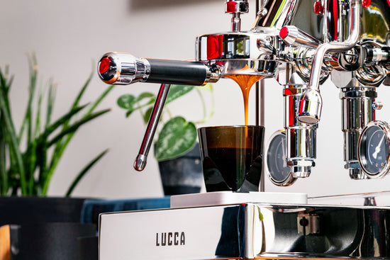 LUCCA X58 by Quick Mill Overview, Clive Coffee - Lifestyle