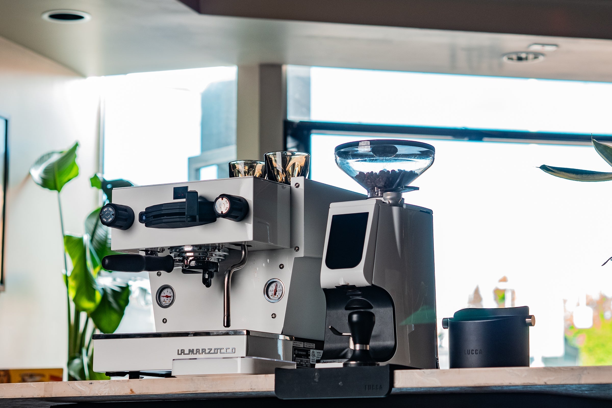 Best Grinder for La Marzocco Linea Mini | Clive Coffee