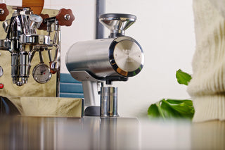 Mazzer Philos single dose grinder in brushed stainless steel with a round front badge on a marble counter.