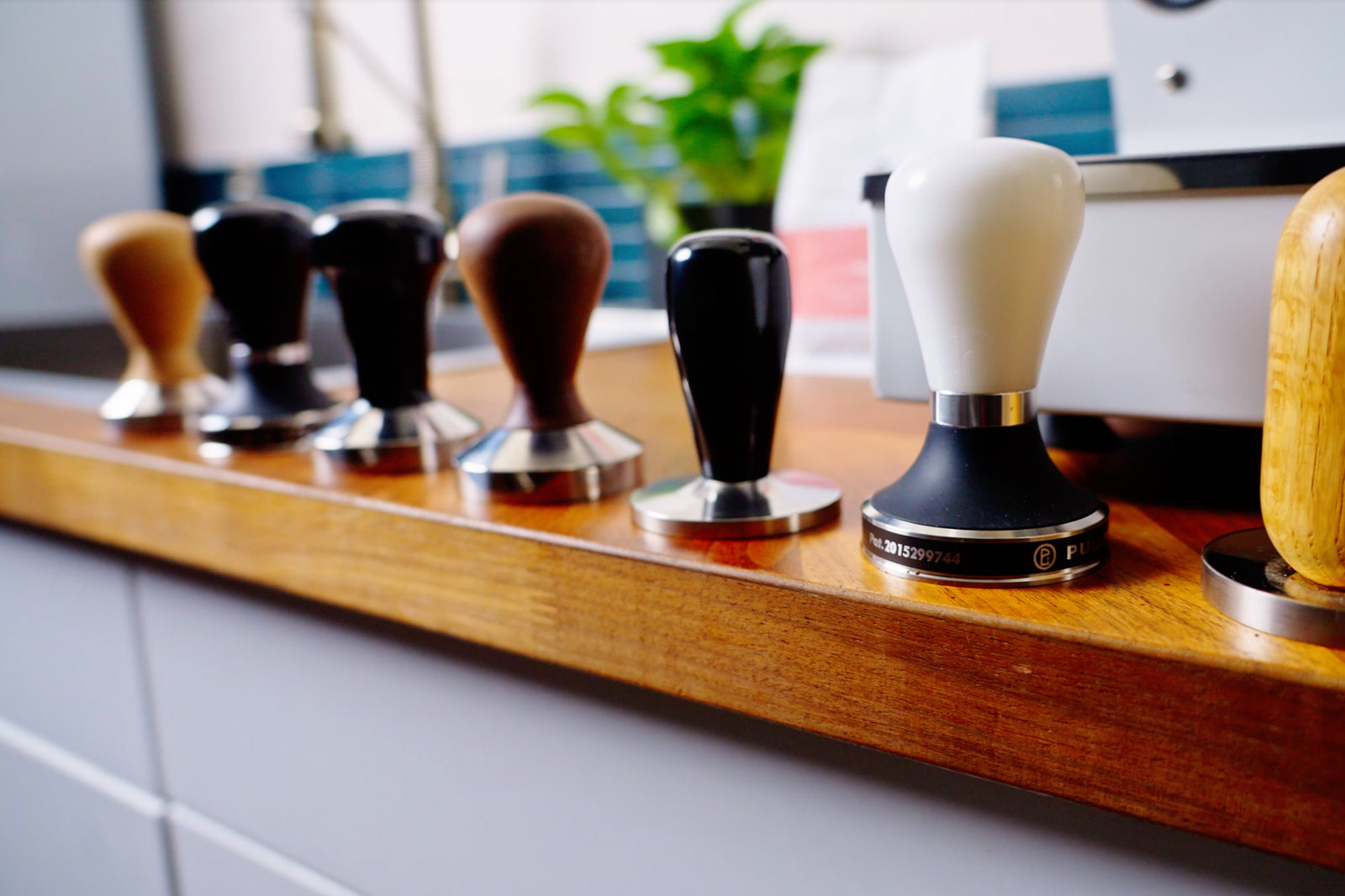 Row of espresso tampers with wooden and metal handles lined up on a wooden counter.