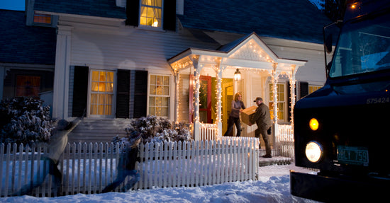 fedex holiday shipping