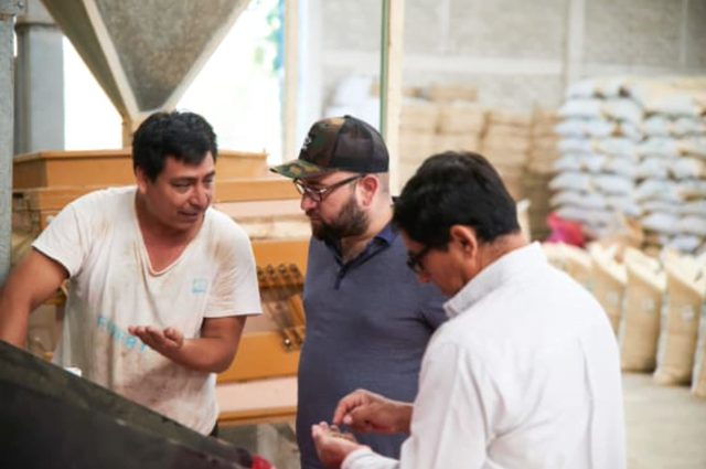 Mexcio Chiapas Decaf