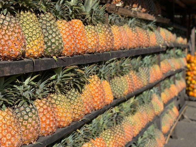 Guatemala Santa Ana Pineapple Process