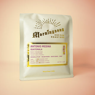 Antonio Medina Guatemala