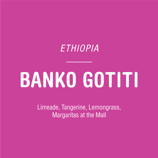 Ethiopia Banko Gotiti packaging featuring bold white text on a magenta background