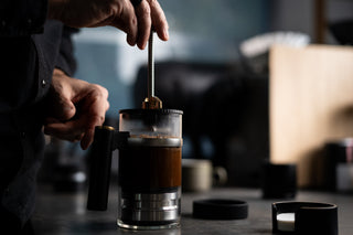 Barista operates The BIRD coffee brewer with a glass brewing chamber and metallic fittings.
