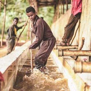Processing scene of Ethiopian Biruhi coffee in a washing station with workers in brown coveralls guiding a water channel.