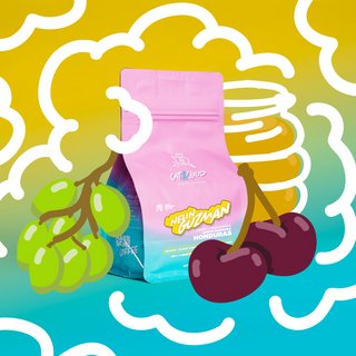 Pink honey processed Honduras coffee bag from Nelin Guzman Santa Barbara against a bright abstract backdrop