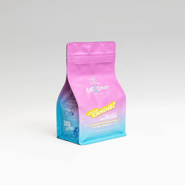 Nicaragua Silvio Sanchez Natural | Cat & Cloud | Clive Coffee