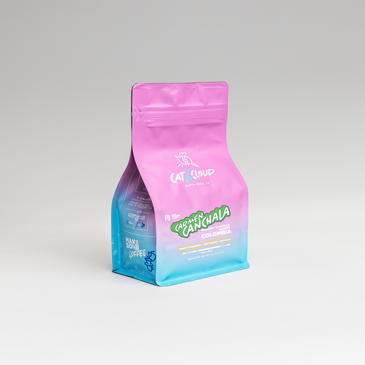 Gradient pink to blue coffee bag standing upright with Carmen Canchala Colombia label and Cat & Cloud branding