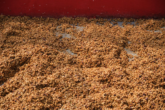 Costa Rica Black Honey