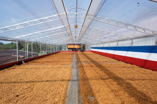 Costa Rica Black Honey