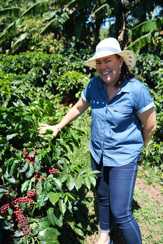 Woman in a sun hat and blue shirt inspecting coffee plants with red cherry berries on a lush farm