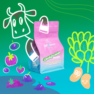 Pink Cat & Cloud Cavaquinho Brazil coffee bag set against a vibrant illustrated background