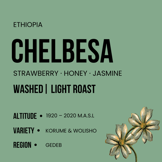 Ethiopia Chelbesa - Light Roast
