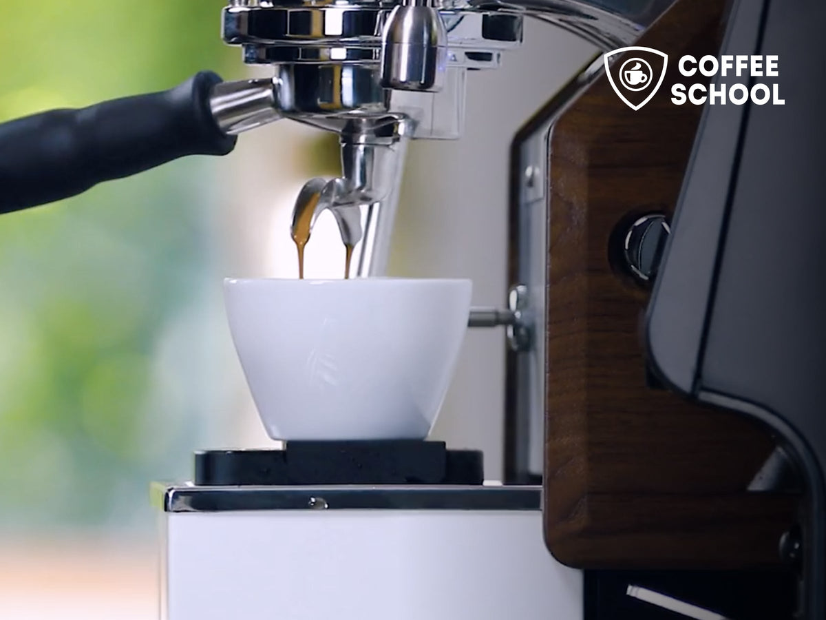 Coffee Lessons Coffee School: Online Espresso Courses | Clive Coffee