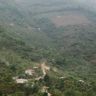 Hilly Huehuetenango coffee farm landscape with houses and a winding dirt road