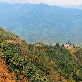Blue mountain landscape with hazy layered hills and valleys