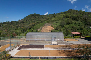 San Rafael Tarrazu