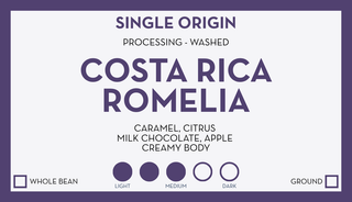 Green Costa Rica Romelia bag with a purple framed single origin label overlay.