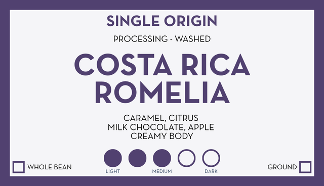 Green Costa Rica Romelia bag with a purple framed single origin label overlay.