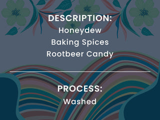 Graphic card showing Honeydew Baking Spices Rootbeer Candy and Washed process on a floral patterned background.
