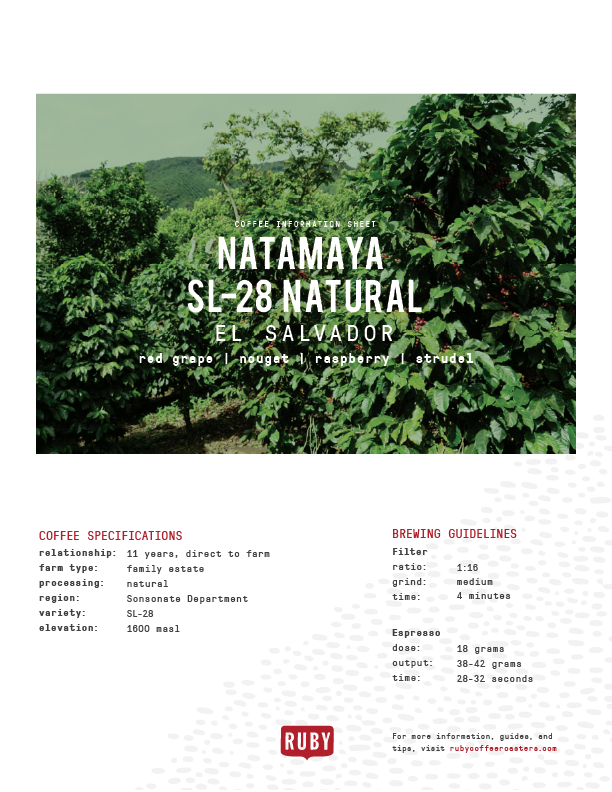 El Salvador Natamaya SL-28 Natural