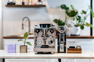 Wide view of a polished Profitec Pro 500 PID espresso machine on a kitchen counter with two black cups and green plants in the background