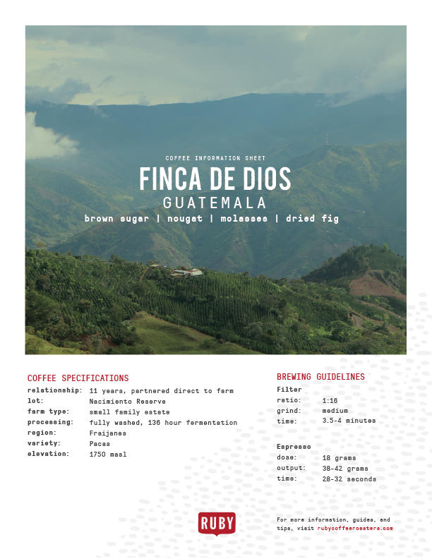 Guatemala Finca De Dios Nacimiento Reserve