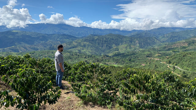 Colombia - Finca El Embrujo