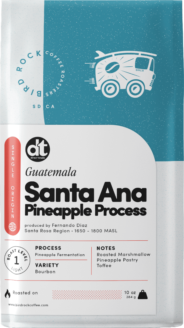 Guatemala Santa Ana Pineapple Process