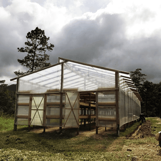 Wood framed translucent greenhouse style coffee drying shed in a grassy field under a cloudy sky