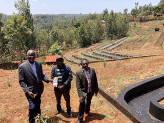 Kenya Mungaria