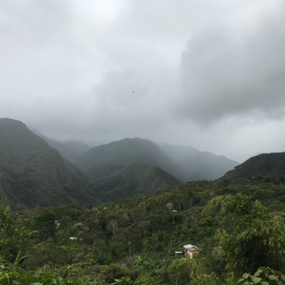 Mist-covered Andean valley with distant mountains under a pale cloudy sky