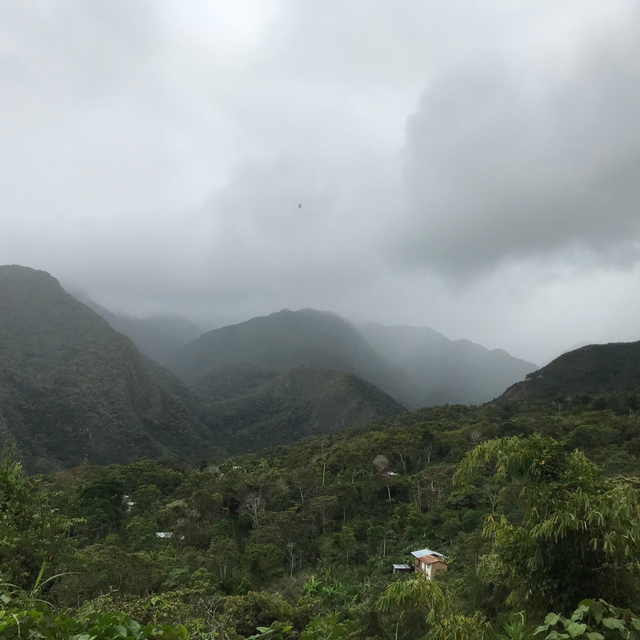 Mist-covered Andean valley with distant mountains under a pale cloudy sky