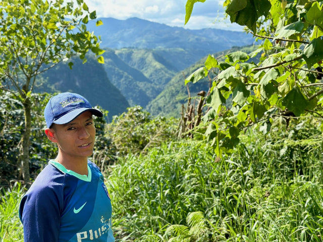 Colombia El Chaferote Pink Bourbon